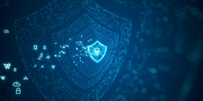 The Privacy Policy protects confidential information while ensuring responsible data handling across the platform